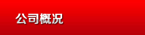 公司概況